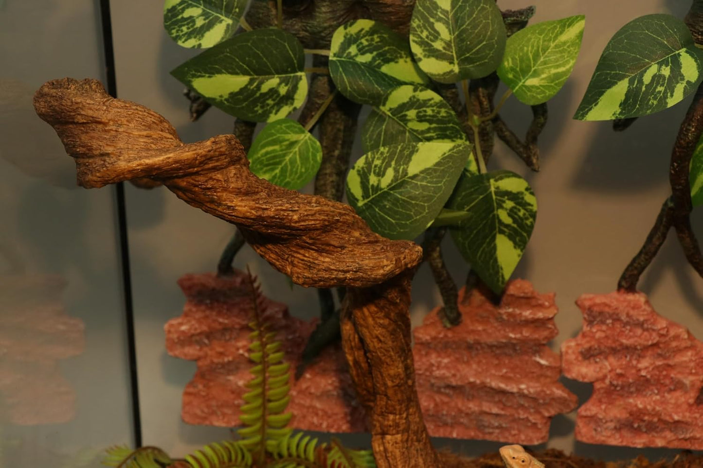 Aqua KT flexible jungle vine packaging and product display