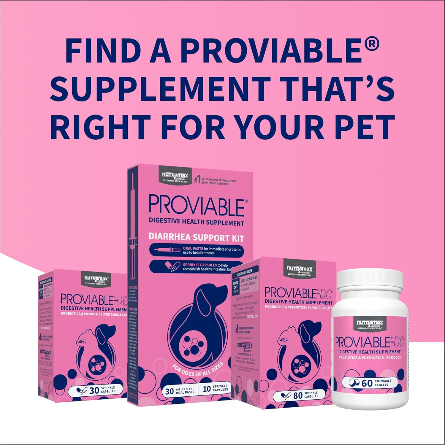 Nutramax Proviable Probiotics for Dogs and Cats, Daily Digestive Health Supplement with Multiple Strains of Bacteria, Cat and Dog Probiotics Plus Prebiotics, 30 Capsules - Image 11
