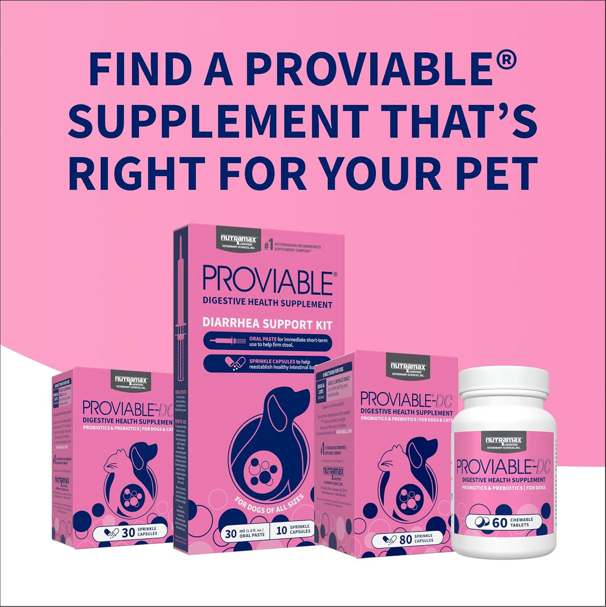 Nutramax Proviable Probiotics for Dogs and Cats, Daily Digestive Health Supplement with Multiple Strains of Bacteria, Cat and Dog Probiotics Plus Prebiotics, 30 Capsules - Image 11