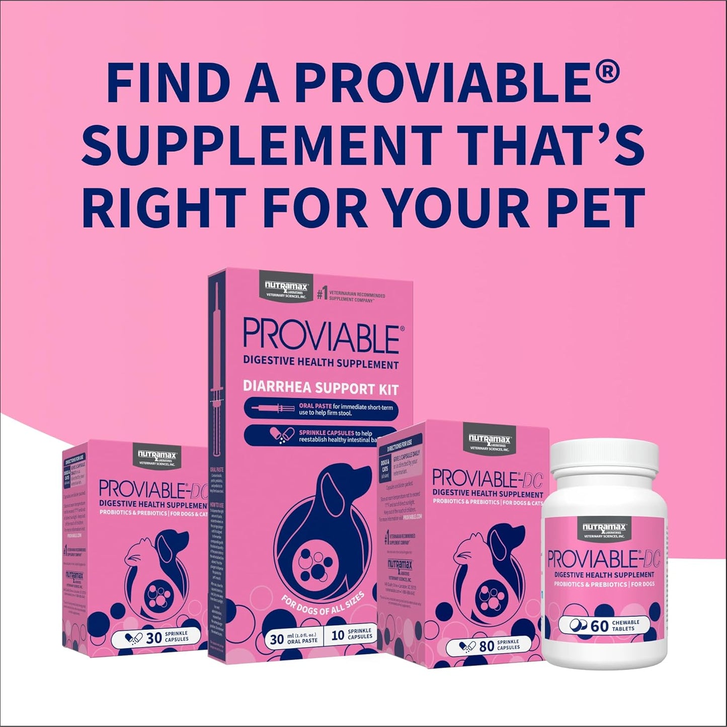 Nutramax Proviable Probiotics for Small Dogs and Cats, Diarrhea Support Kit, Digestive Health Supplement with Multiple Strains of Bacteria, Plus Prebiotics, Kaolin and Pectin, 15 ml Paste and 10 Capsules - Image 10