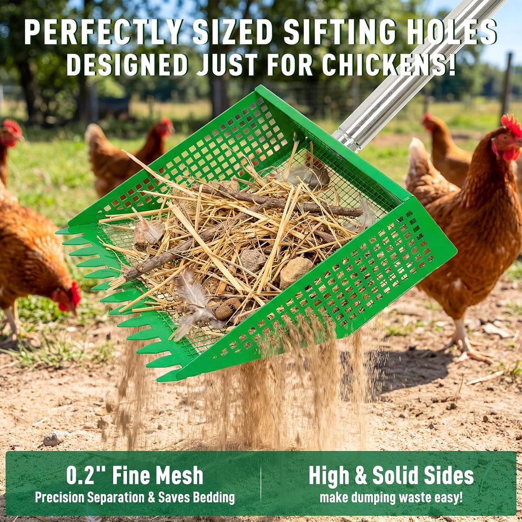 TOOGE metal poultry rake and sifter tool clearing sand bedding