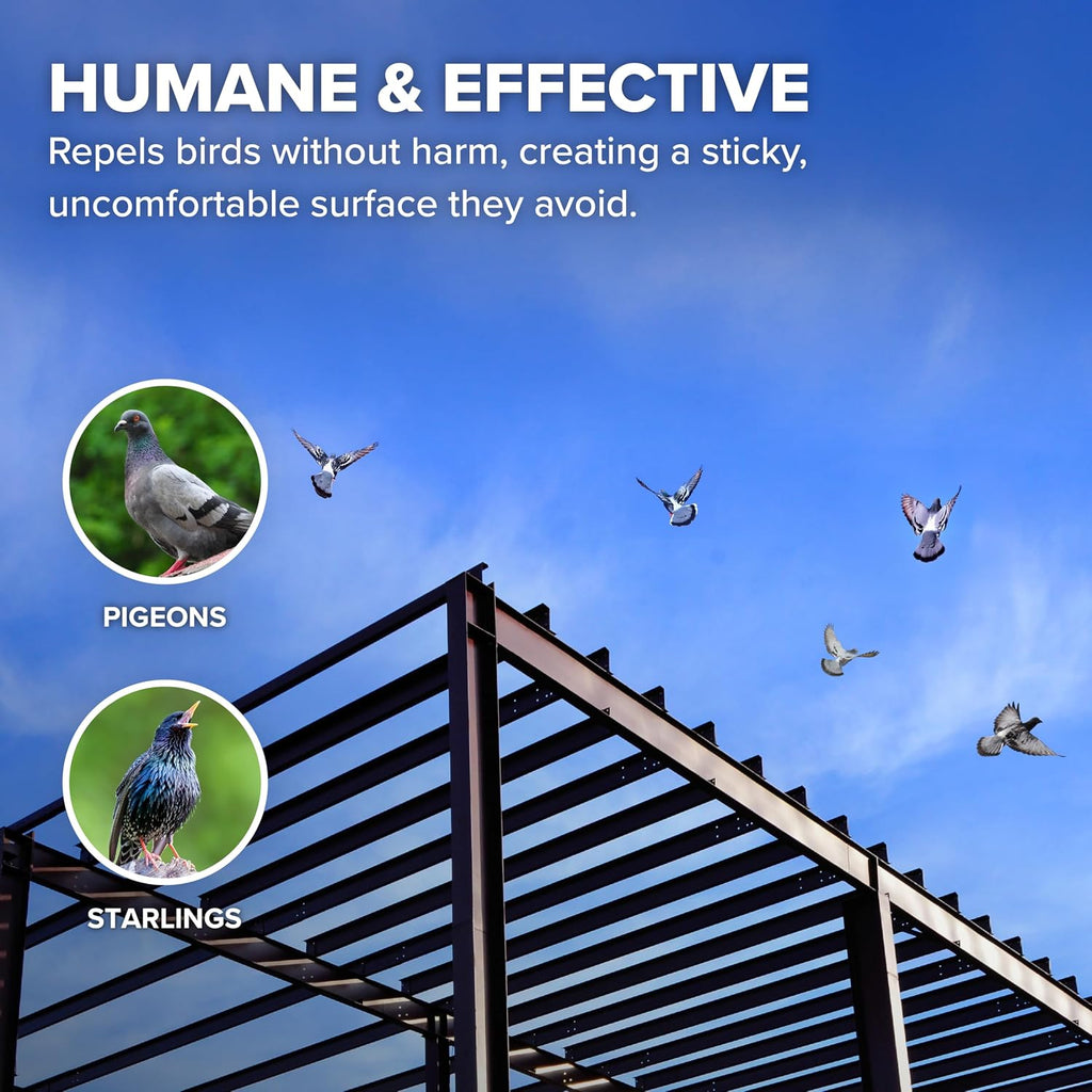 Clear bird repellent gel applied to architectural beam