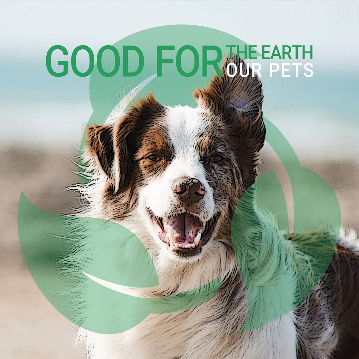 Product texture and consistency of Green Groom pet shampoo