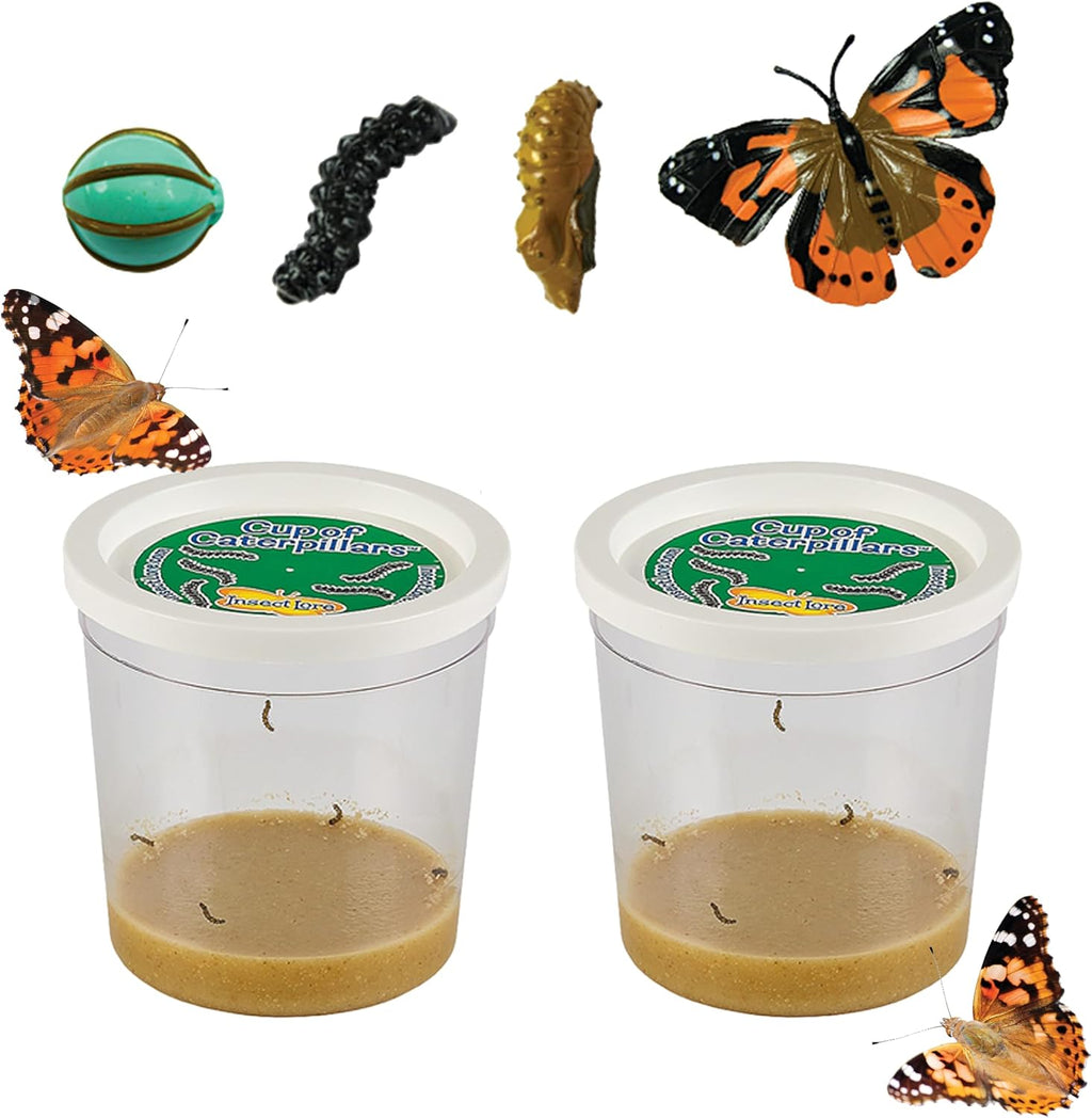 Insect Lore Two Cups of Live Caterpillars front packaging view showing educational science kit labels