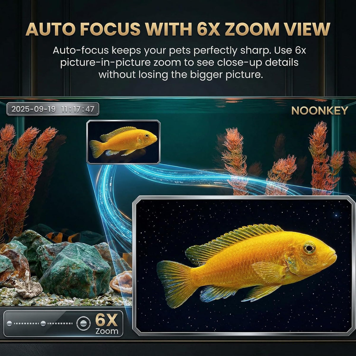 Noonkey aquarium camera mounted on glass tank