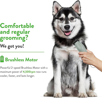 Wahl Professional two speed animal clipper kit with detachable Number Ten blade.