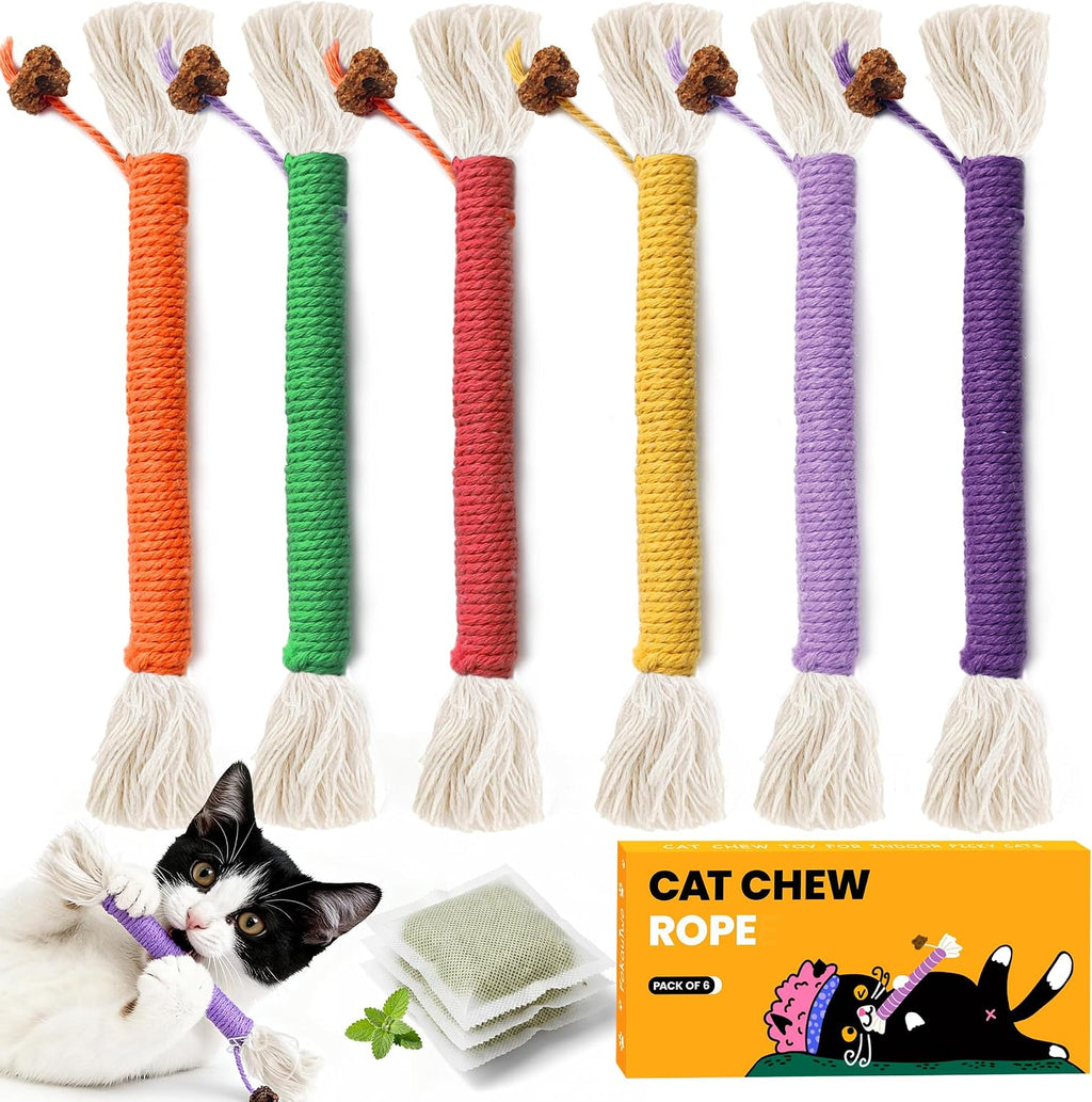 Interactive cat toy for indoor exercise and play