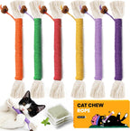 Interactive cat toy for indoor exercise and play