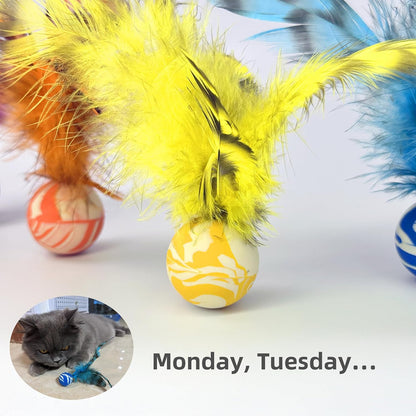Interactive indoor cat enrichment toys packaging display