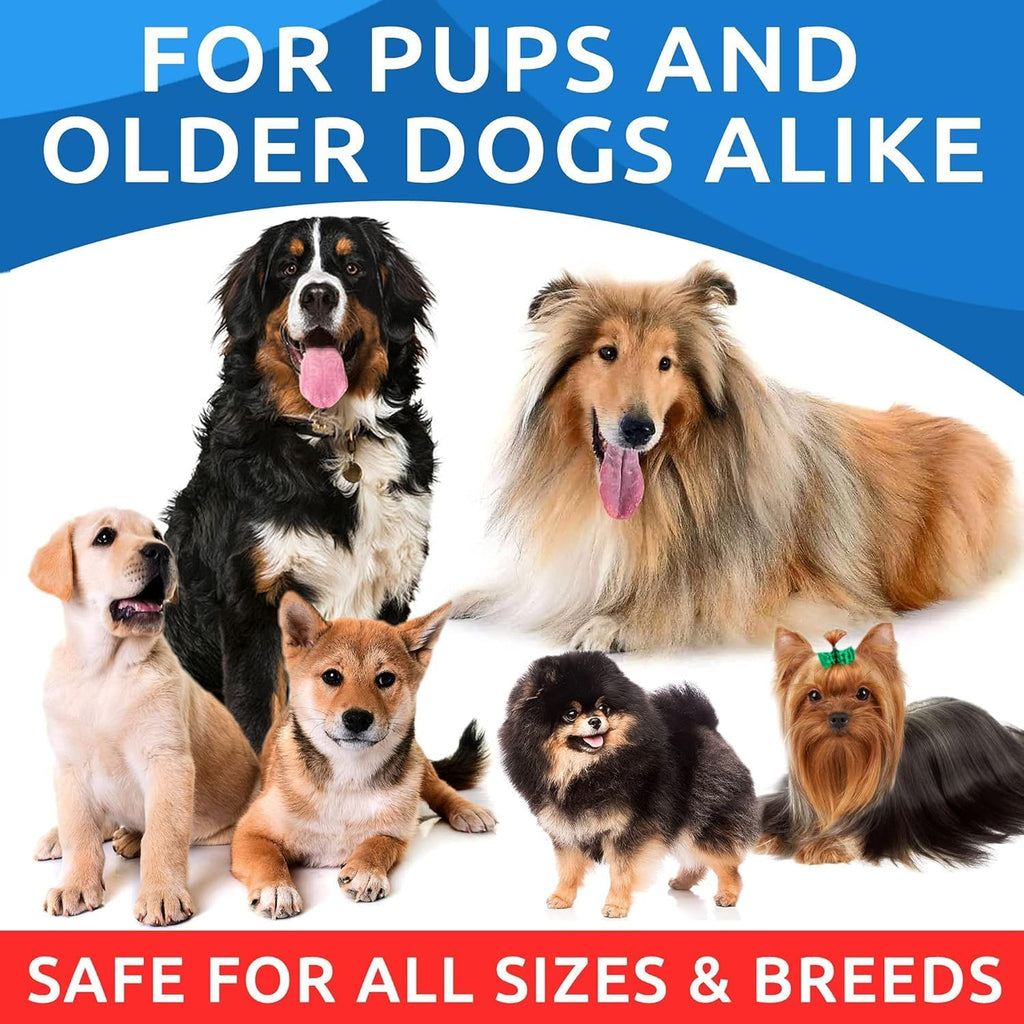 Bark And Spark dog skin allergy chews container top view on white background.