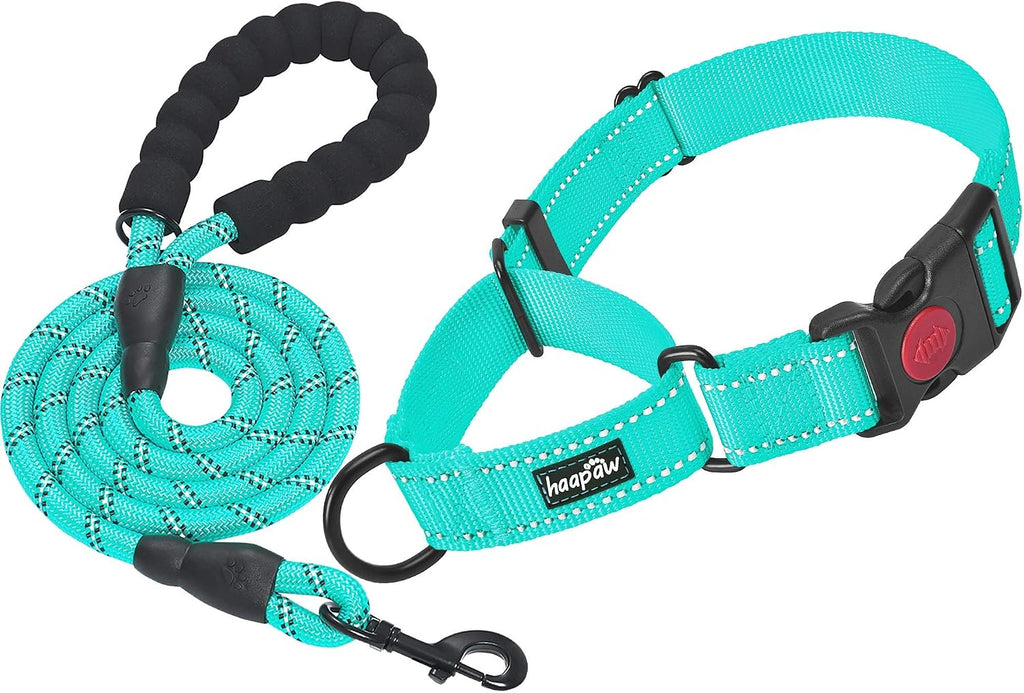 Haapaw martingale dog collar front view turquoise training collar