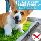 Close up of HaiYUAN chew proof steel cable dog seat belt
