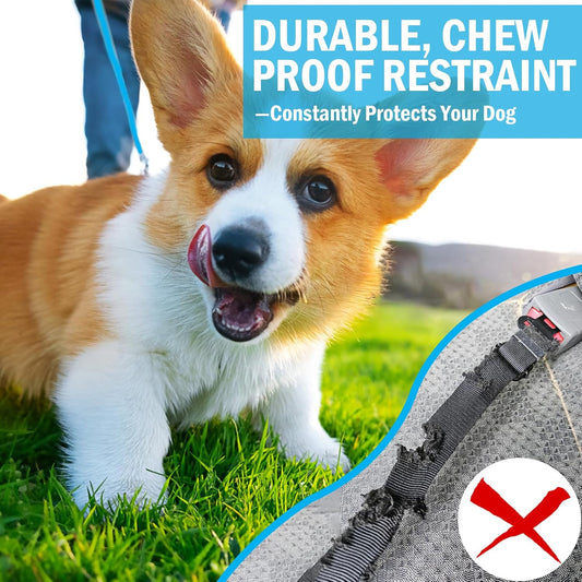 Close up of HaiYUAN chew proof steel cable dog seat belt