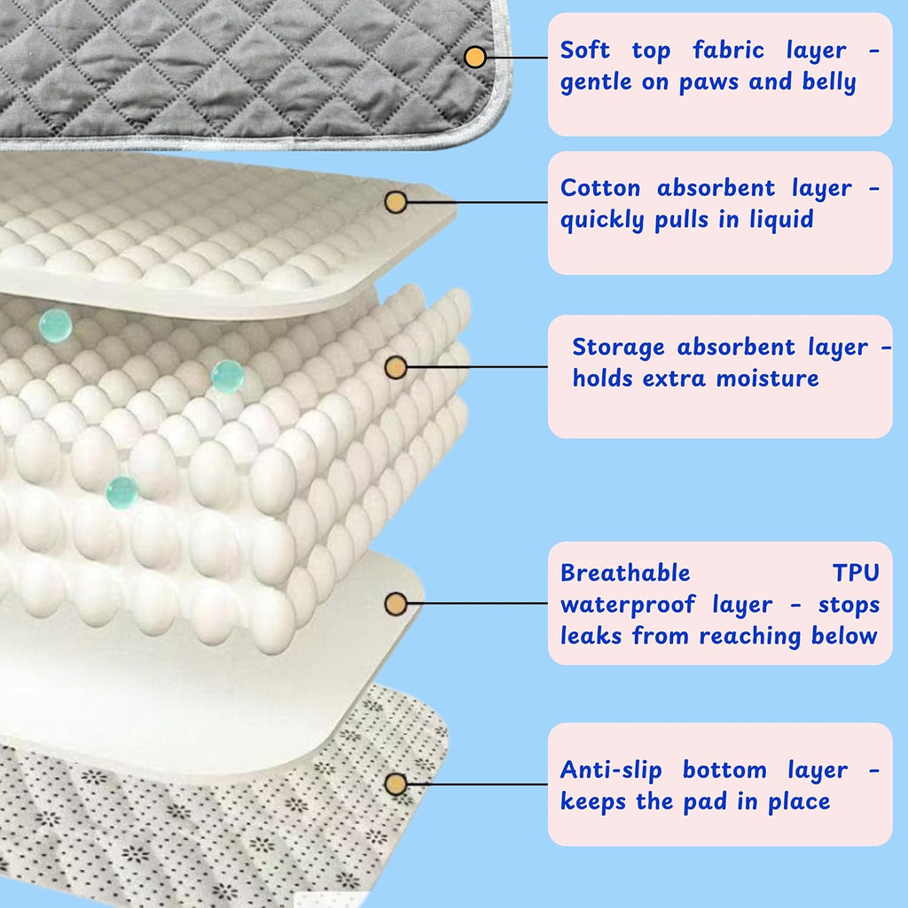 Demonstration of the low V-shaped tail opening on the reptile outfit