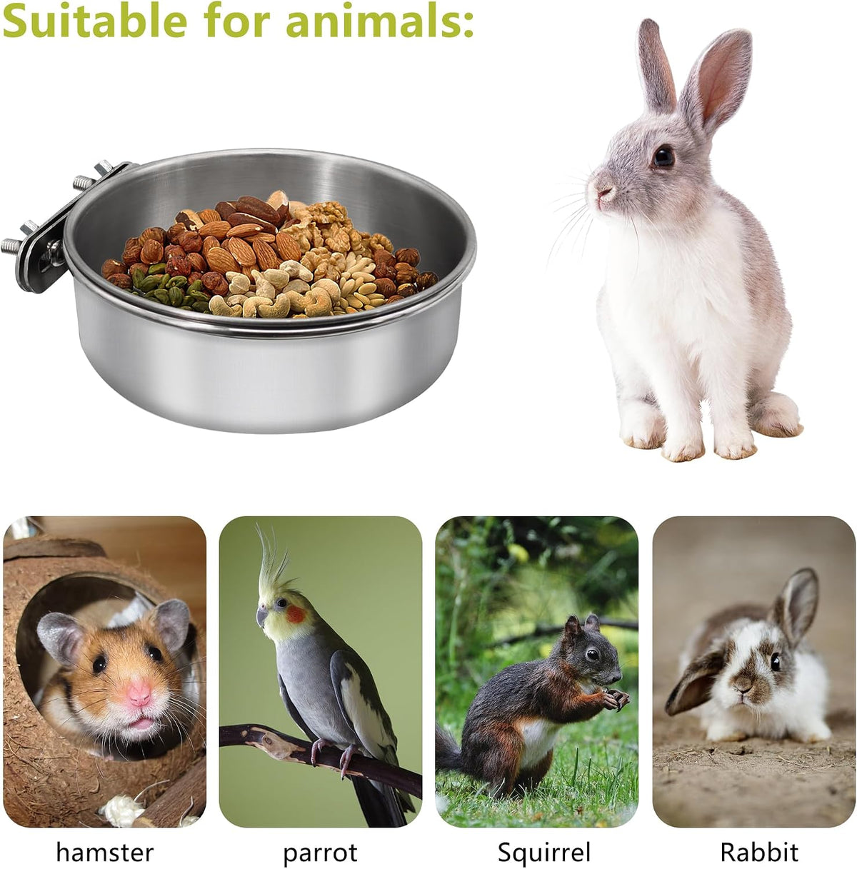 Bird Feeding Dish Cups, Stainless Steel, 2 Pack, Small - Image 4