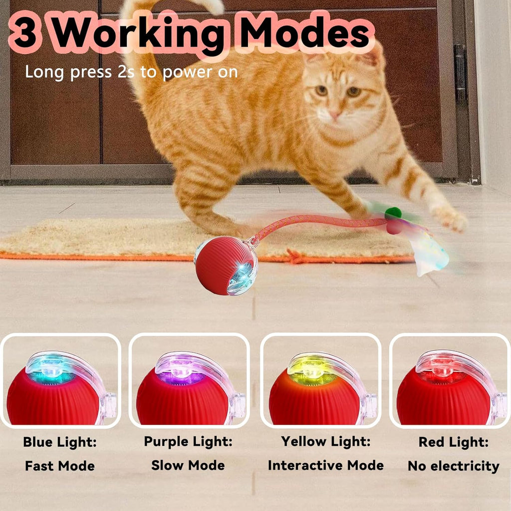 USB rechargeable port on the automatic cat ball toy