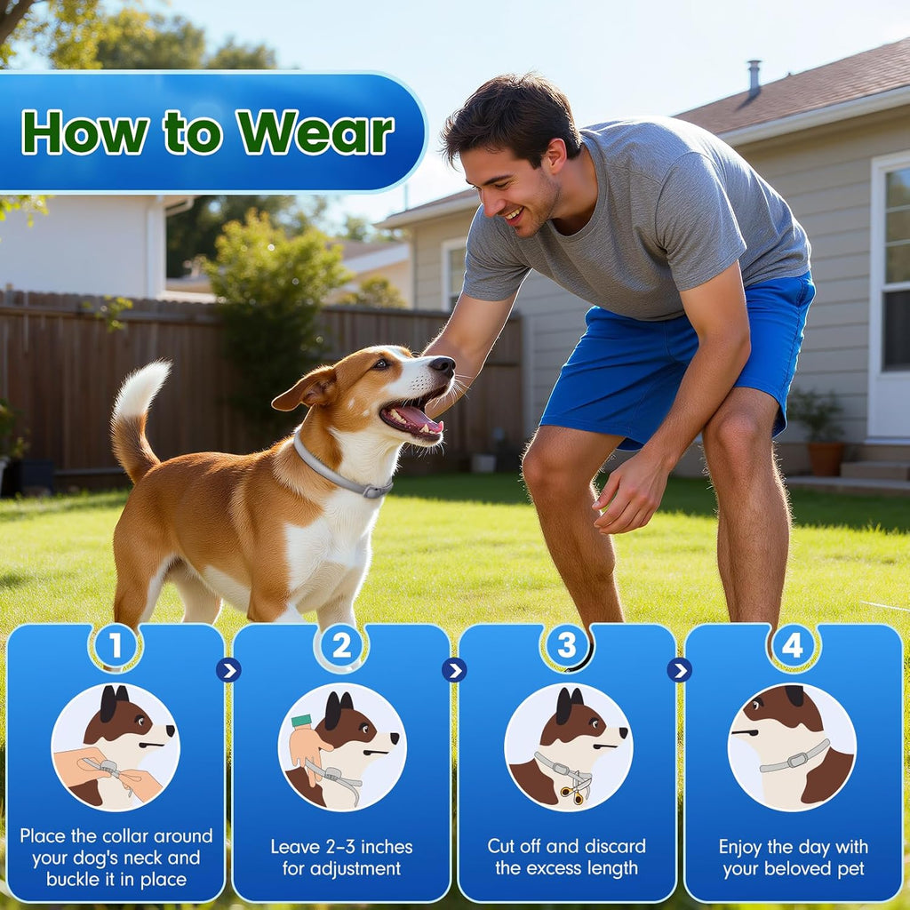 Grey adjustable flea collar with 5-pack supply