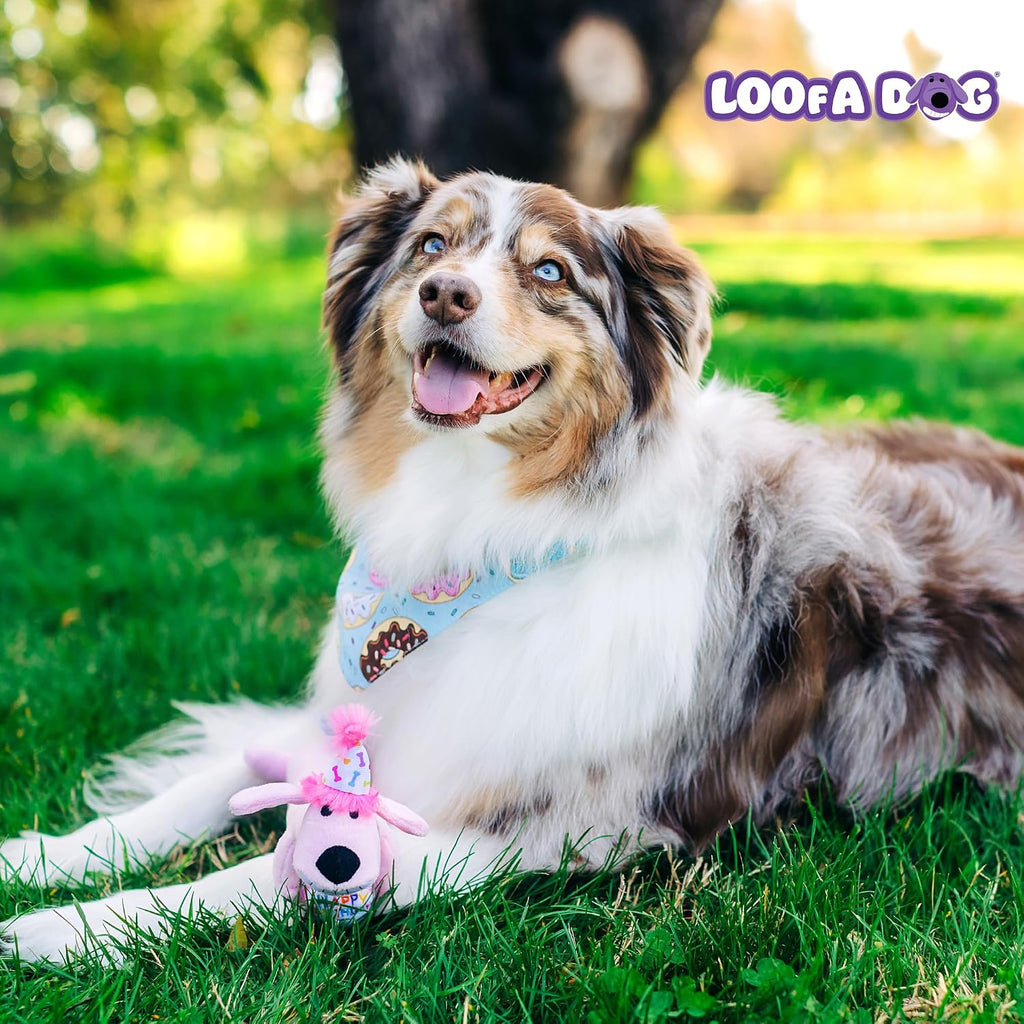 Soft terry cloth texture of Multipet Loofa dog toy