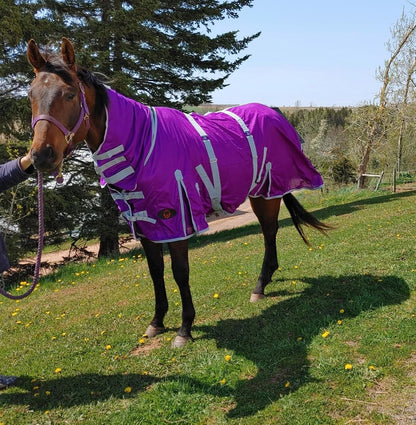 Tech Equestrian purple horse fly sheet with attached neck cover side view