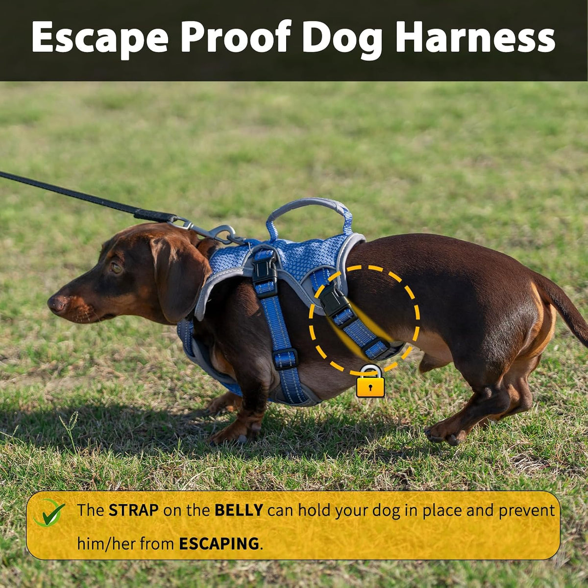 Huntboo escape proof dog harness side profile technicolor blue adjustable vest
