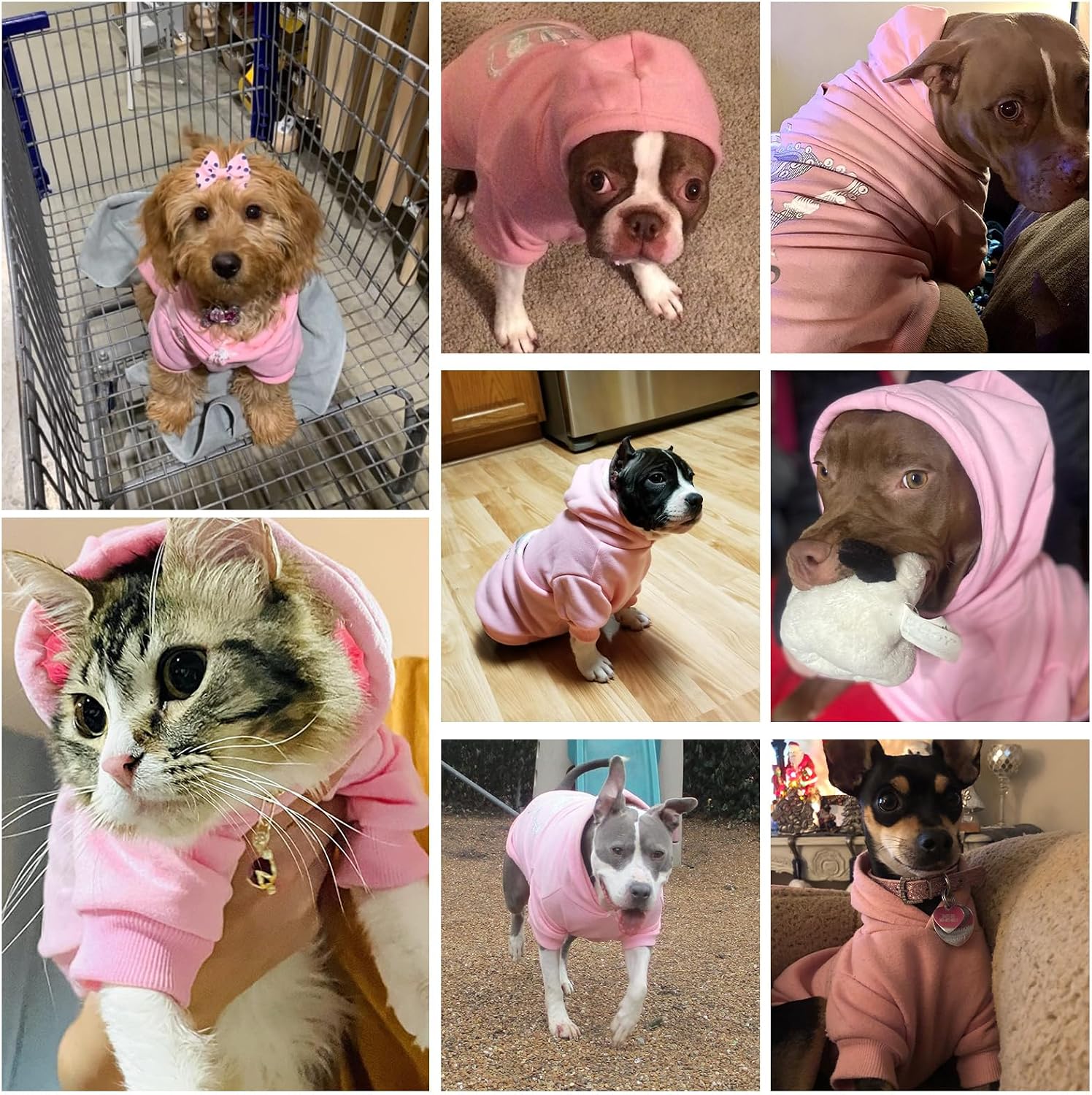 EXPAWLORER imported puppy clothes size chart reference image for accurate pet measurements