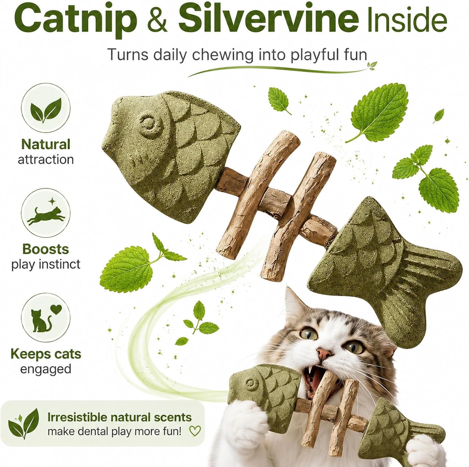 Feline dental health chew tool with wooden stick