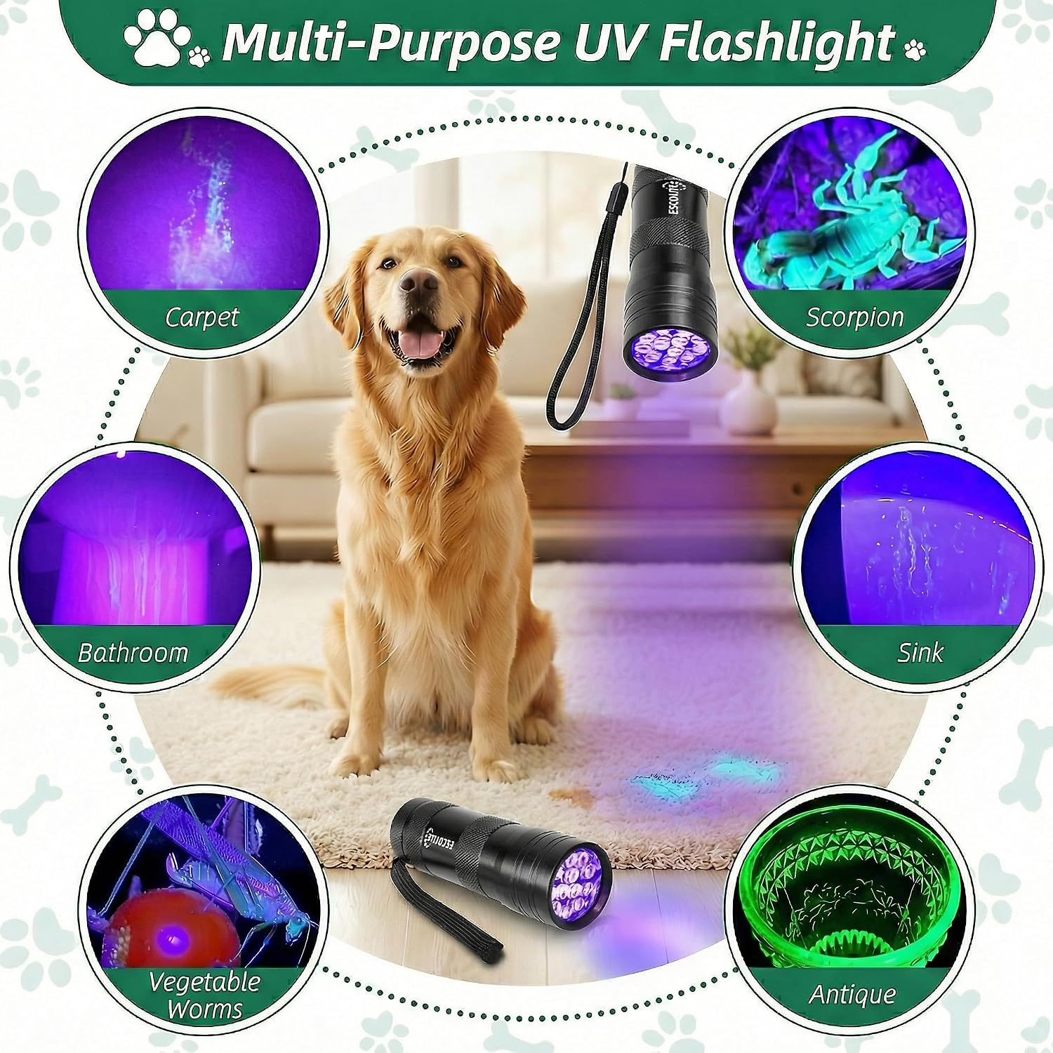 Waterproof Escolite UV flashlight illuminating a scorpion in the dark