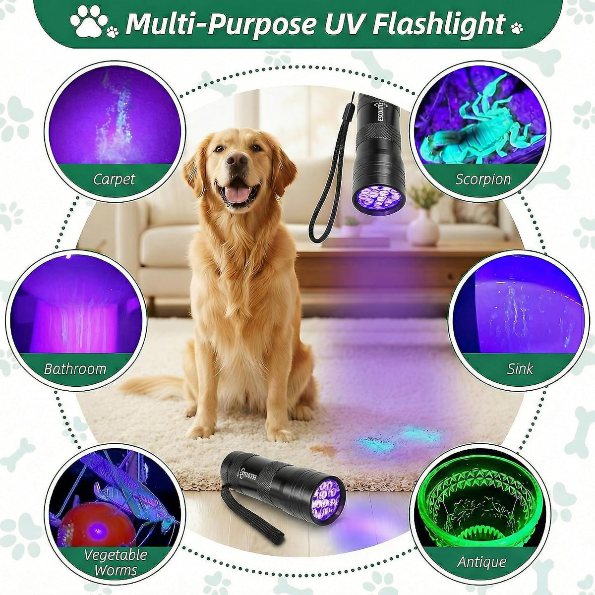 Waterproof Escolite UV flashlight illuminating a scorpion in the dark