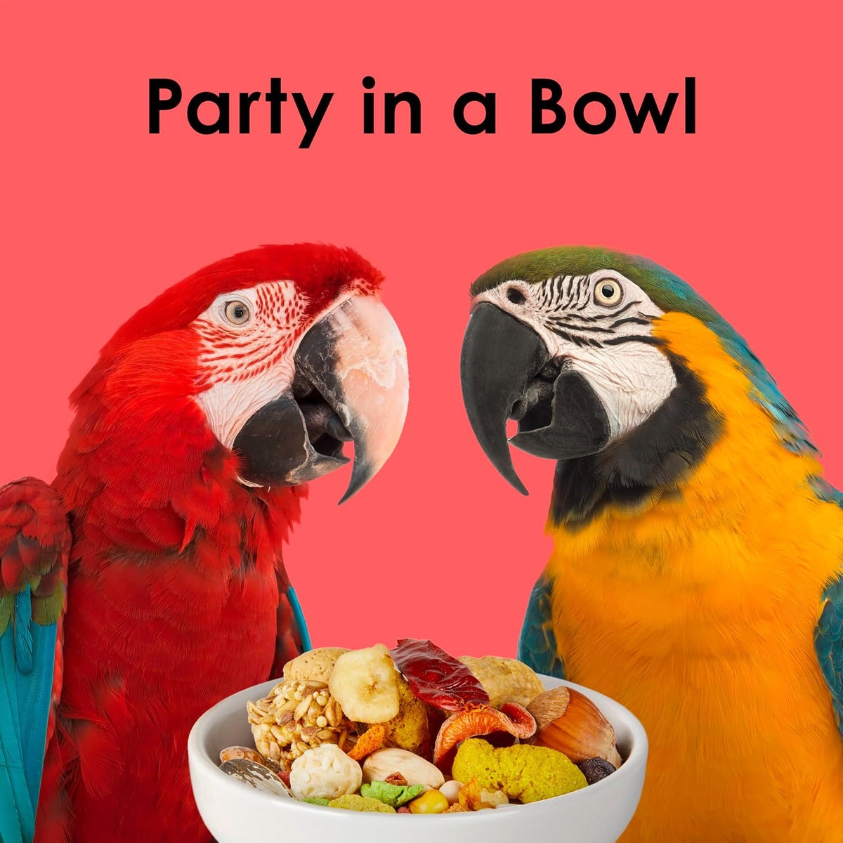 Kaytee Fiesta Macaw Food, Nutritious and Fun Blend, Supports Skin, Feather, Digestion, Brain and Heart Health, 4.5 pounds - Image 10