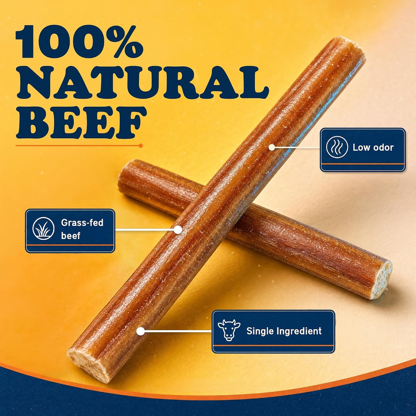 Premium grass fed beef bully stick held up close to show the natural texture and quality.
