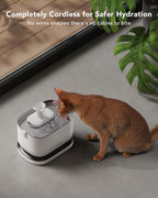 Close up of the Petlibro cat water dispenser stainless steel bowl