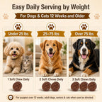 Chicken flavored TailSphere mushroom chews texture detail for adult and senior dogs