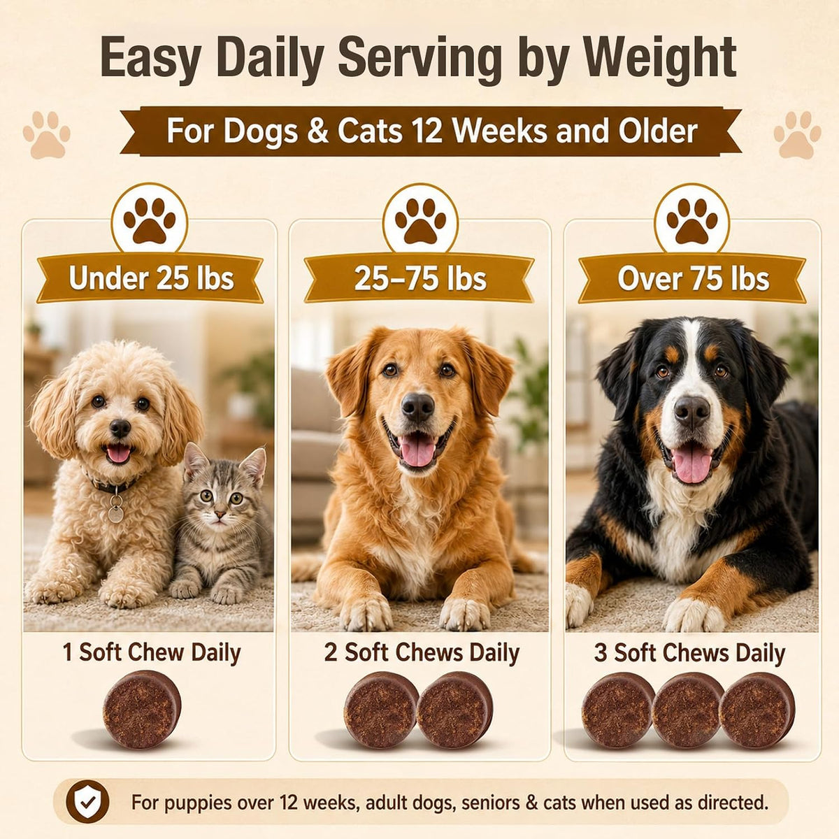 Chicken flavored TailSphere mushroom chews texture detail for adult and senior dogs
