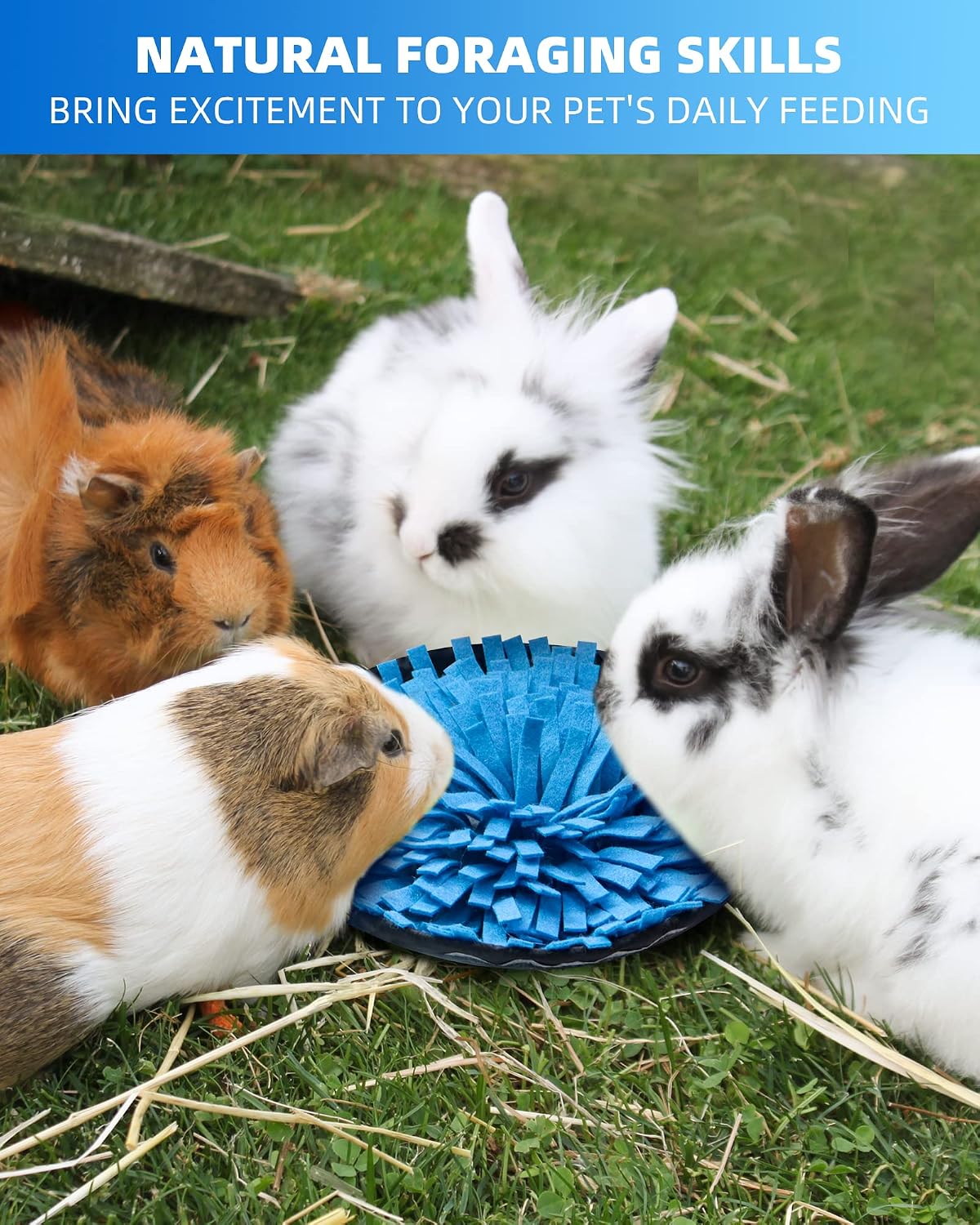 OVMKOV rabbit foraging mat package showcasing the complete set of features for small animals