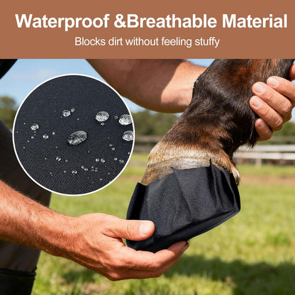 Application of hoof packing with Yongzhao tape