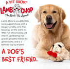 Detailed texture of Multipet Lamb Chop soft fabric
