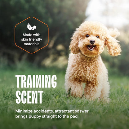 Hypoallergenic latex-free adult and puppy training pads bulk pack for household cleanliness.