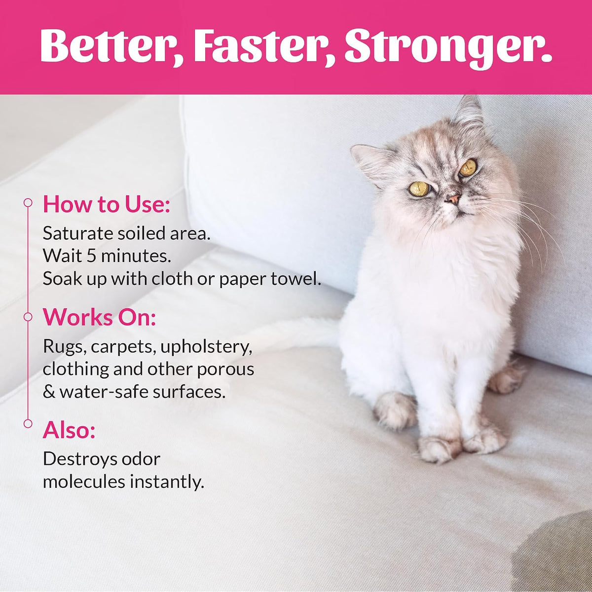 Mineral based molecular deodorizer spray for eliminating cat vomit and diarrhea stains