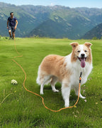 Joytale dog training lead detailing the removable neoprene padded handle