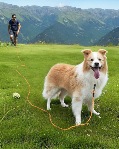 Joytale dog training lead detailing the removable neoprene padded handle