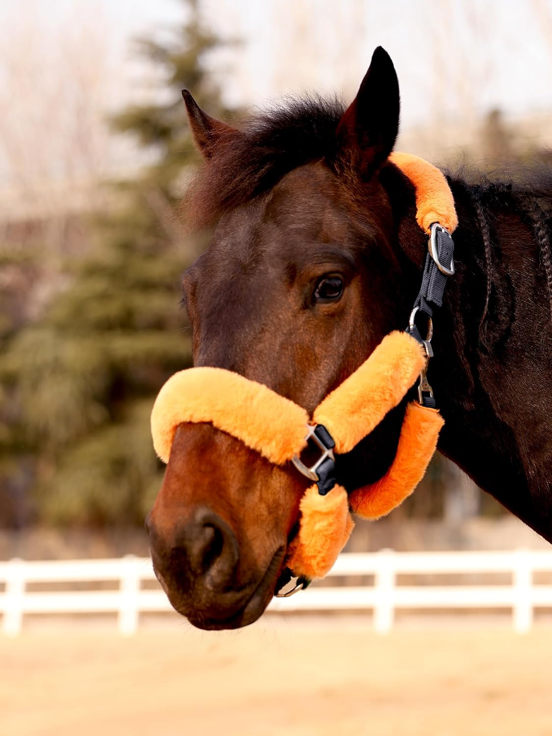 Harrison Howard Fleece Halter Covers for Horses, Set of 9, Prevent Hair Loss Pressure Marks, Padded Horse Halter Fleece Set Black - Image 12