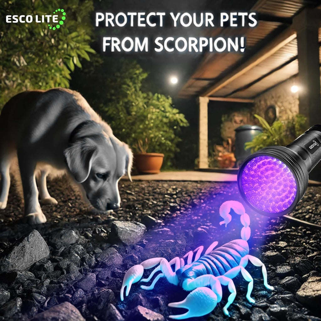 Escolite ultraviolet flashlight detecting dried dog urine in a dark room.
