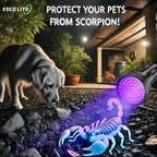 Escolite ultraviolet flashlight detecting dried dog urine in a dark room.