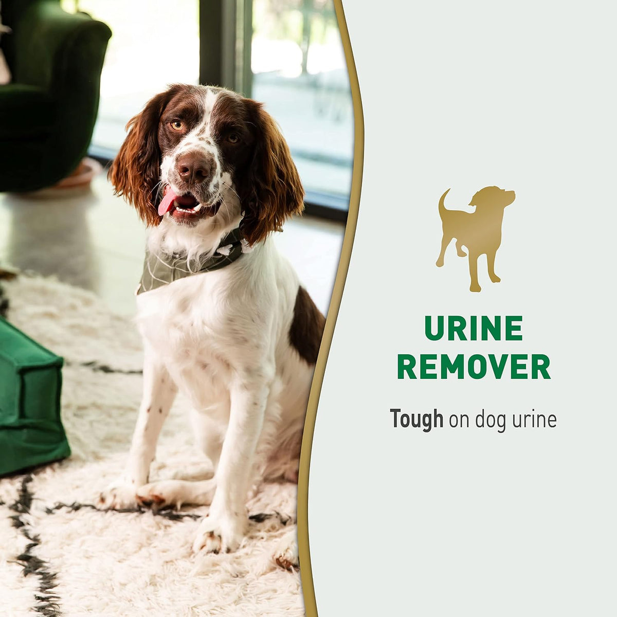 Imported Nature's Miracle dog odor control spray bottle showing usage instructions