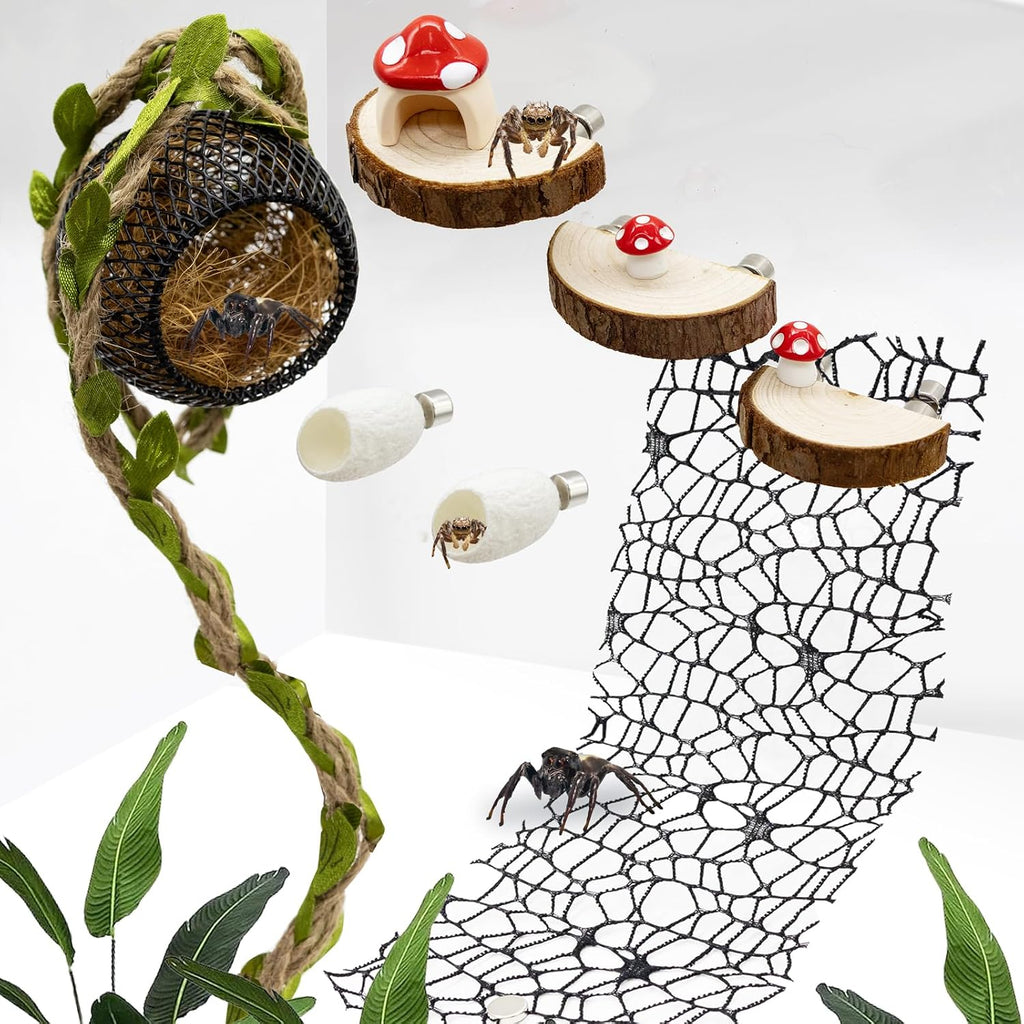 Jumping Spider Habitat Accessories Enclosure Habitat Accessories Jumping Spider Web Climbing and Feeding Platforms with Magnets for Small Insects Critters - Image 1