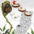 Jumping Spider Habitat Accessories Enclosure Habitat Accessories Jumping Spider Web Climbing and Feeding Platforms with Magnets for Small Insects Critters - Image 1