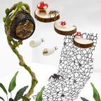 Jumping Spider Habitat Accessories Enclosure Habitat Accessories Jumping Spider Web Climbing and Feeding Platforms with Magnets for Small Insects Critters - Image 1