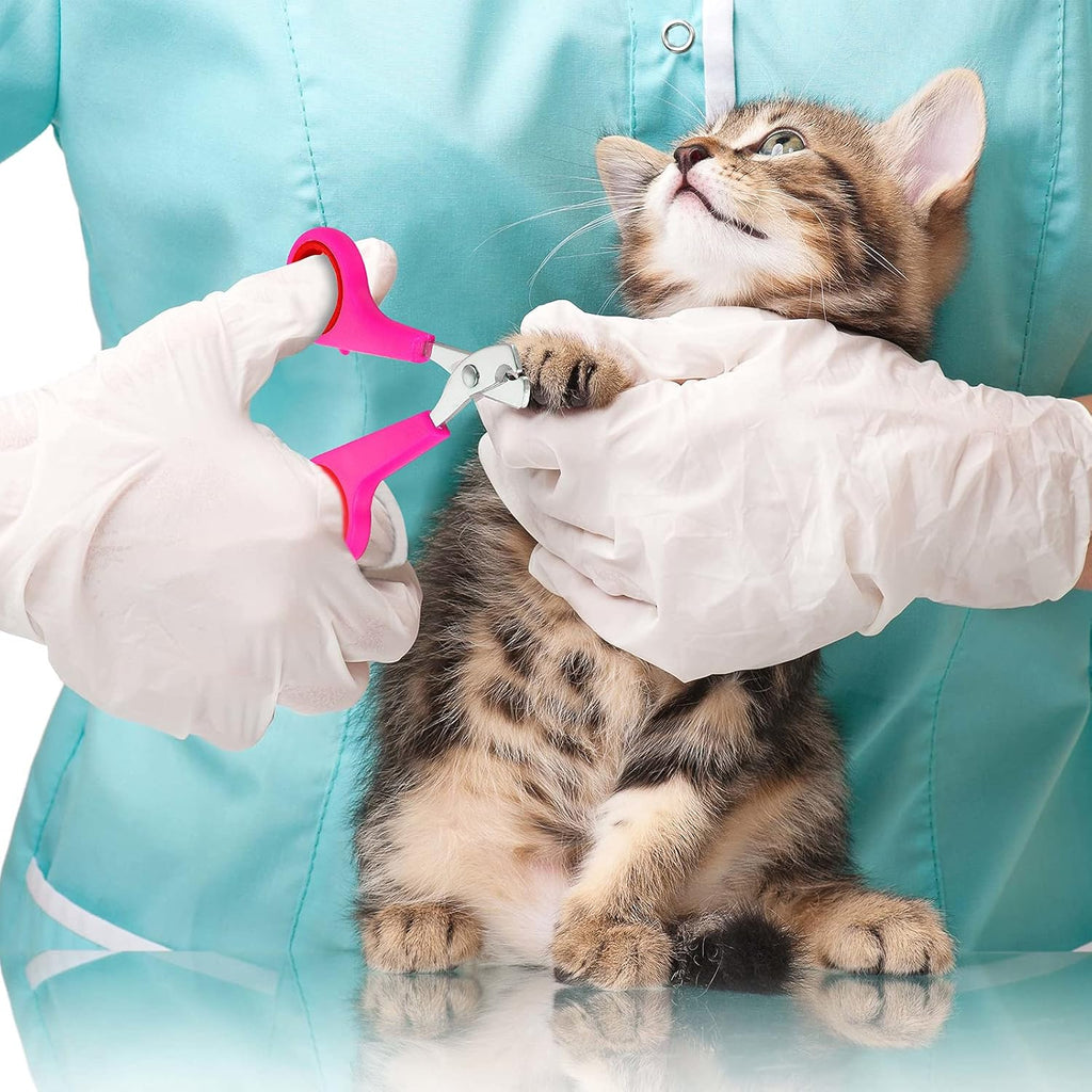Patelai tick remover tool and pink massage brush included in the pet care kit