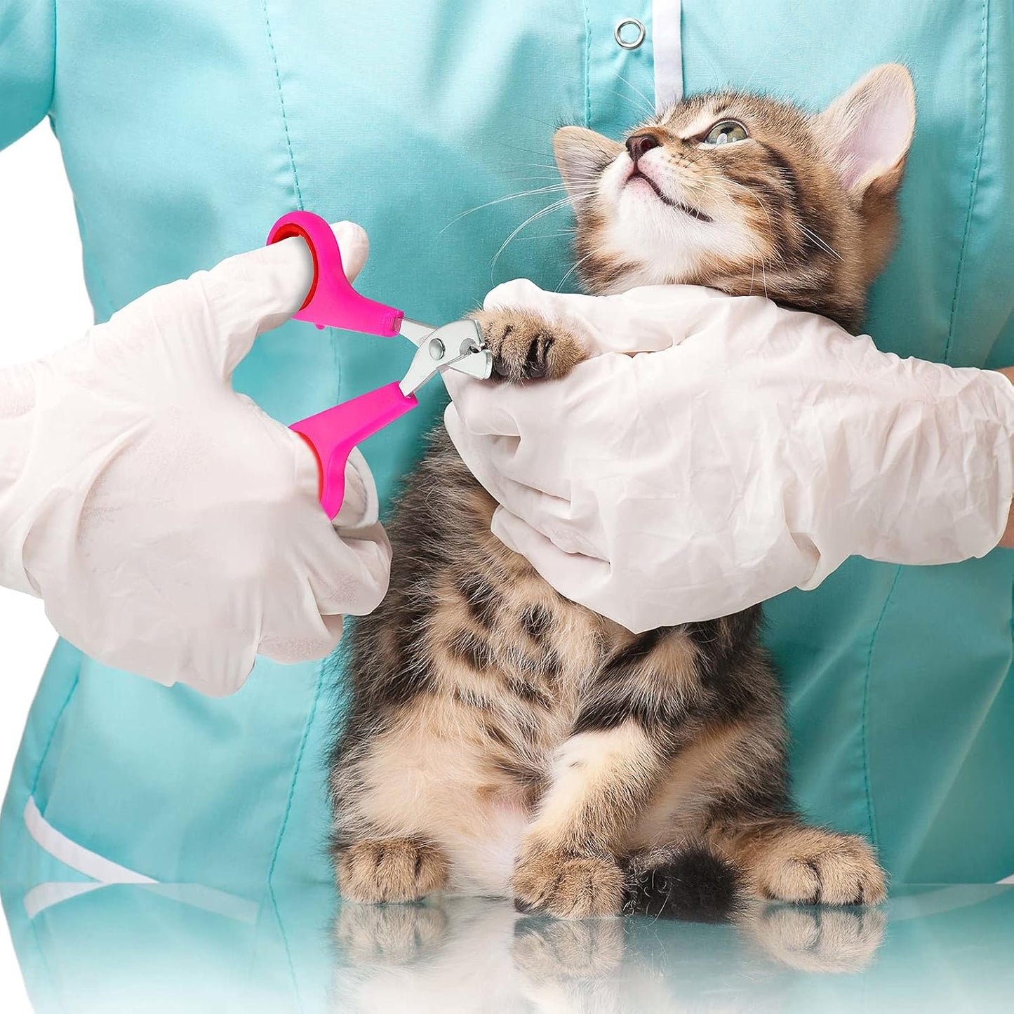 Patelai tick remover tool and pink massage brush included in the pet care kit