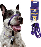 Heather's Heroes Sidekick Dog Headcollar with Leash - Sidekick Leash for Dogs, Effective Dog Training Tool for Leash Reactivity and Behavior Issues (Turquoise, Mini (1/4")) - Image 15